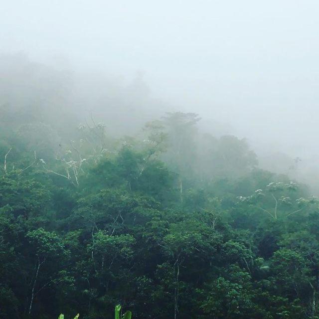Sitio Recanto Da Preguica Санта-Тереза Экстерьер фото